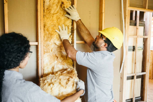 Best Spray Foam Insulation  in Red Lodge, MT